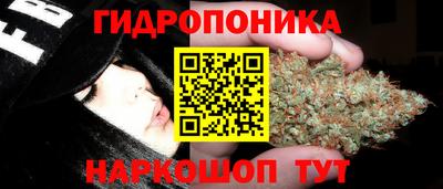spice Апшеронск