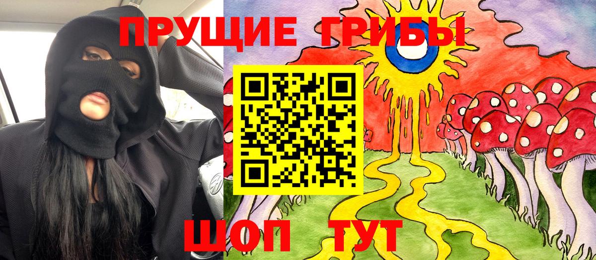 Галлюциногенные грибы Cubensis  Галлюциногенные грибы ЛСД  где купить наркоту  Алейск  Вход с VPN 