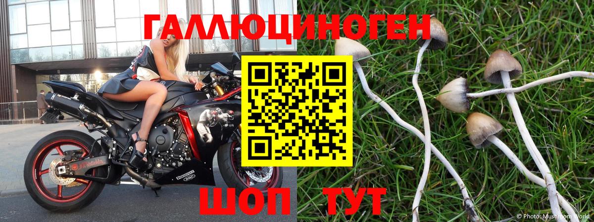 Галлюциногенные грибы мицелий Алейск