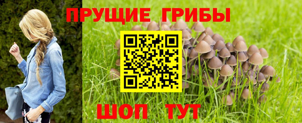 Галлюциногенные грибы мицелий Алейск